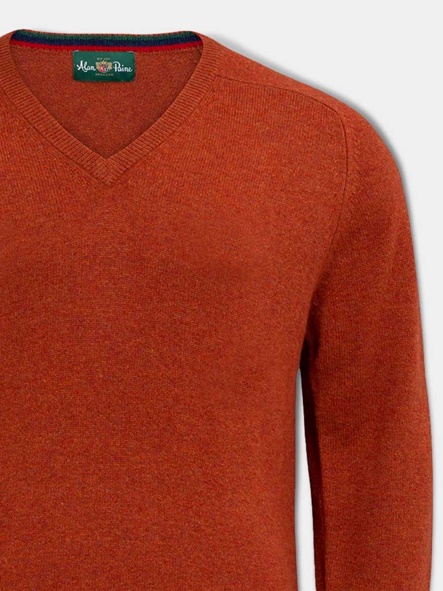 ALAN PAINE Streetly Men's V Neck Lambswool Jumper - Tiger - Image 3