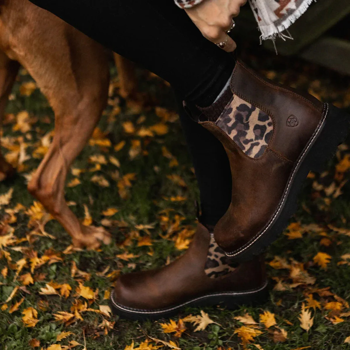 ARIAT Fatbaby Chelsea Western Boots - Womens - Distressed Tan & Leopard Gore - Image 2