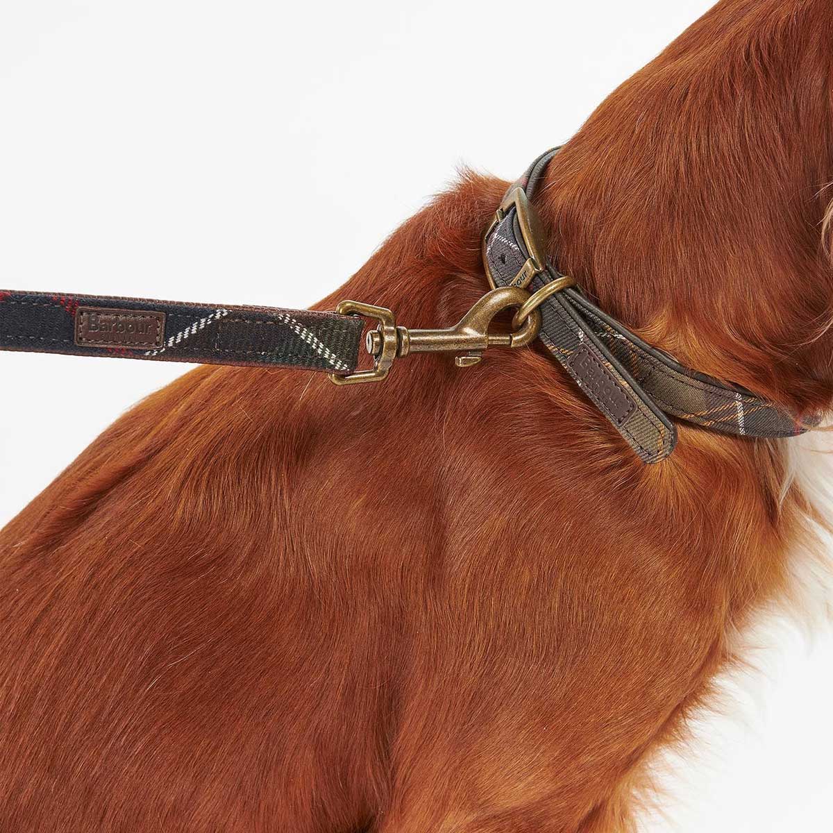 BARBOUR Classic Leather Dog Lead - Tartan - Image 4