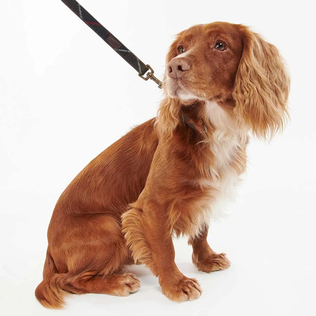 BARBOUR Classic Leather Dog Lead - Tartan - Image 5