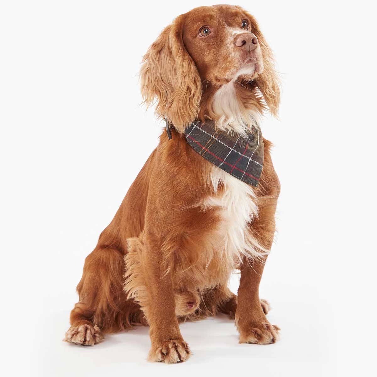 BARBOUR Dog Bandana - Classic Tartan
