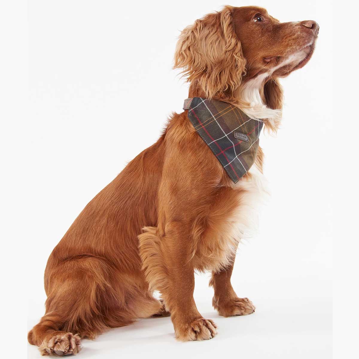 BARBOUR Dog Bandana - Classic Tartan - Image 3
