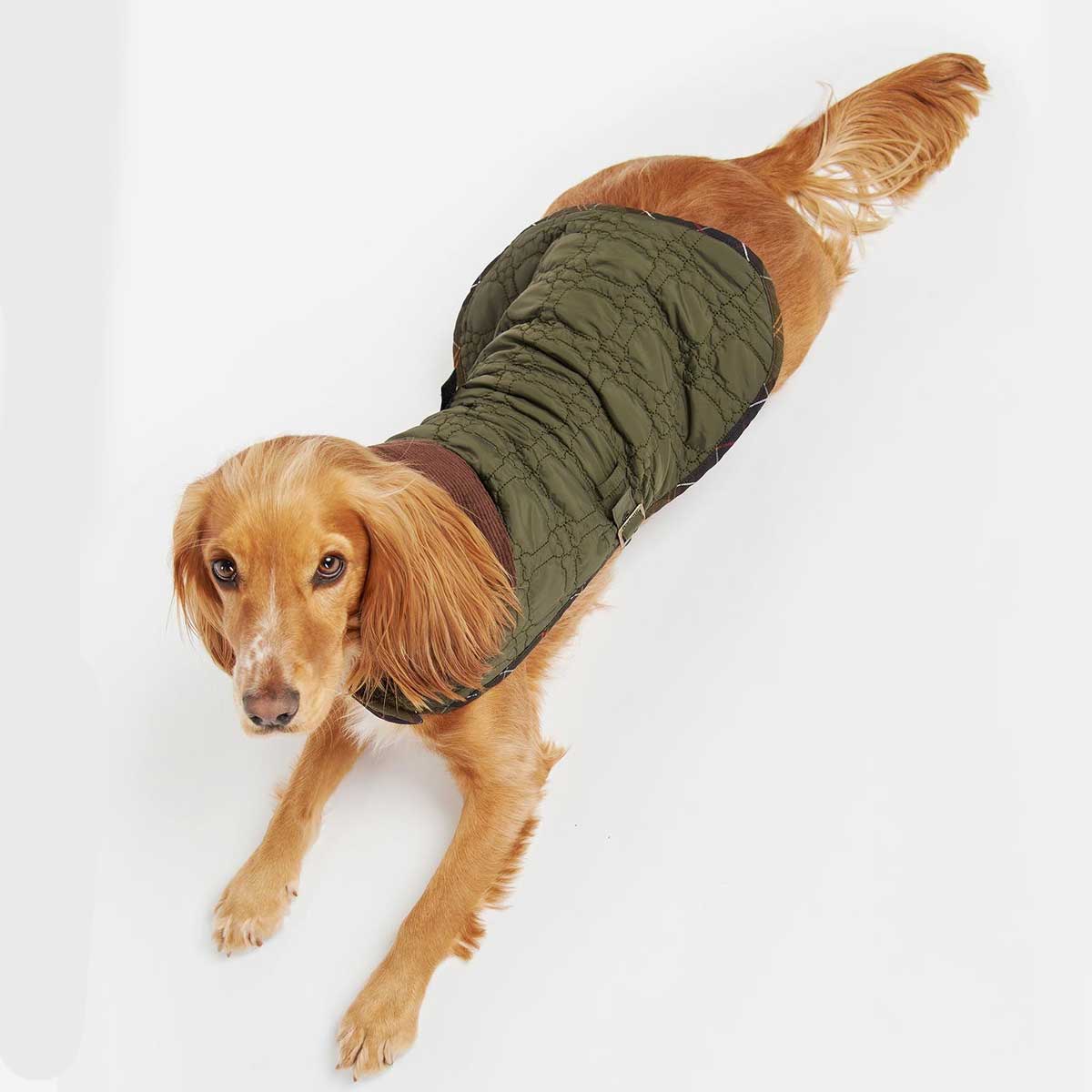 BARBOUR Dog Bone Quilted Dog Coat - Olive - Image 4