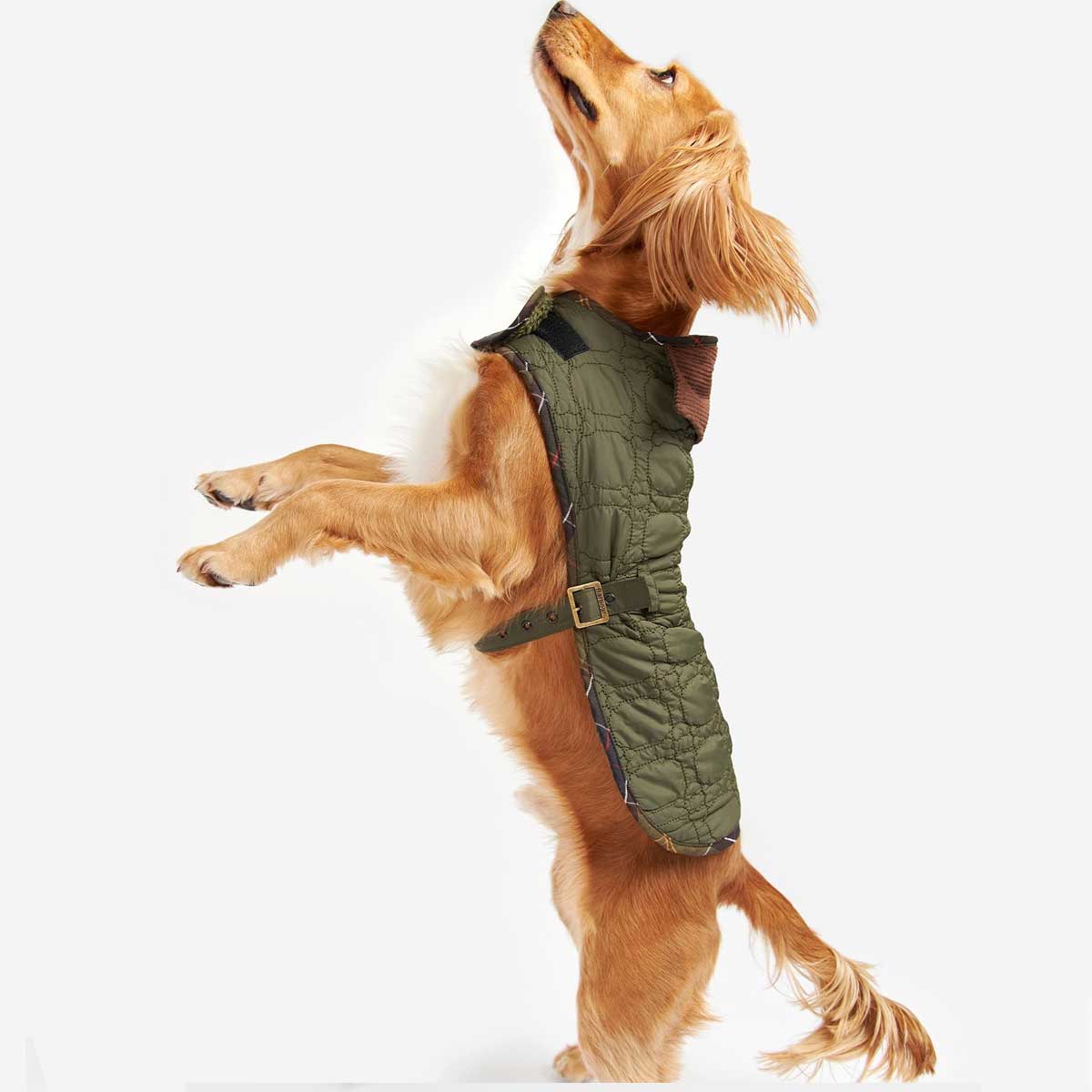 BARBOUR Dog Bone Quilted Dog Coat - Olive - Image 5