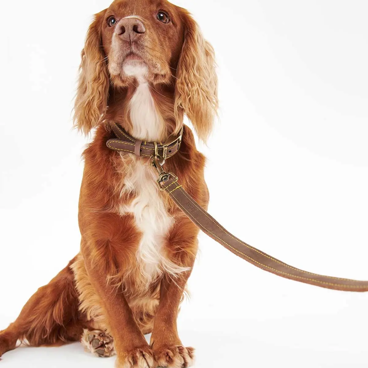 BARBOUR Dog Leather Lead - Brown - Image 2