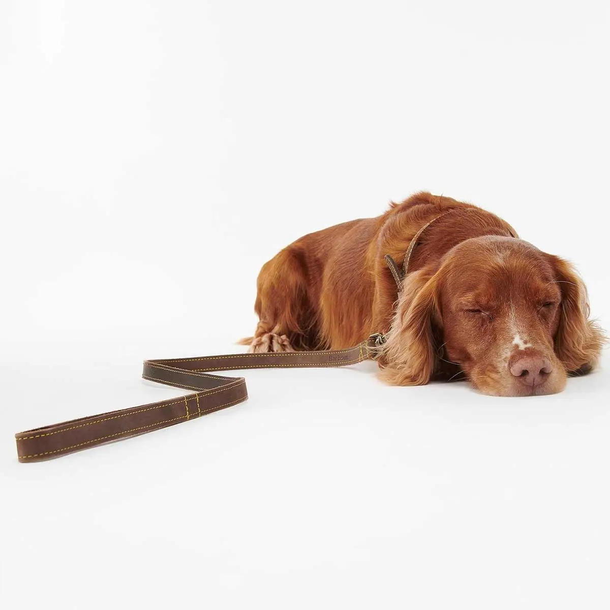 BARBOUR Dog Leather Lead - Brown - Image 5