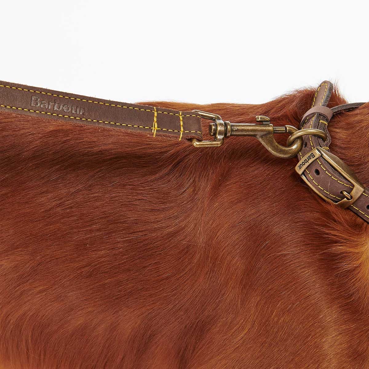 BARBOUR Dog Leather Lead - Brown - Image 7