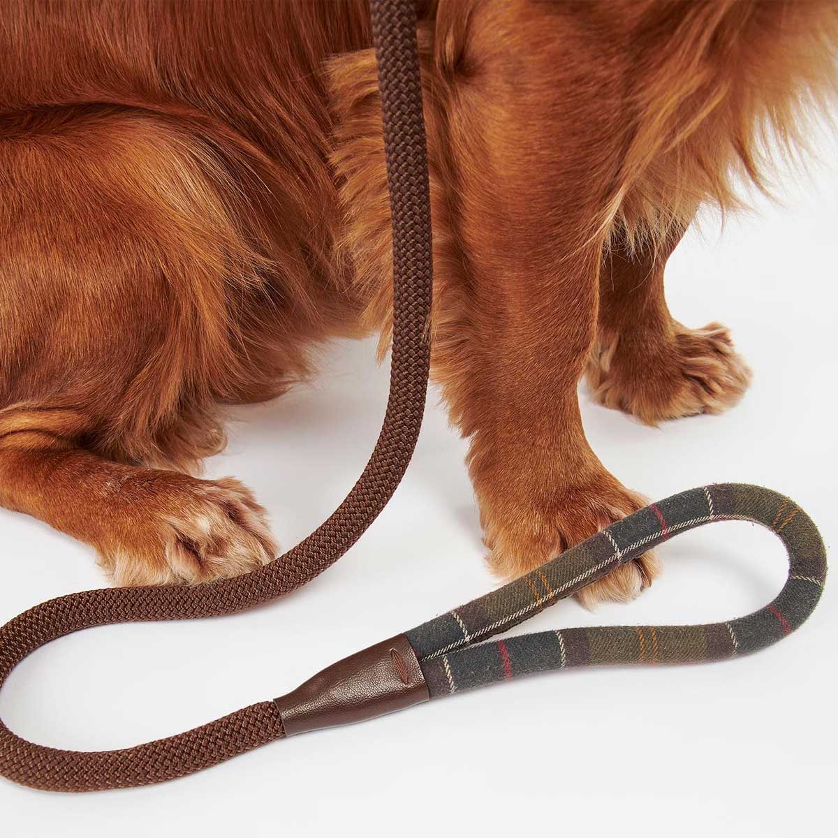 BARBOUR Dog Slip Lead - Classic Tartan - Image 3