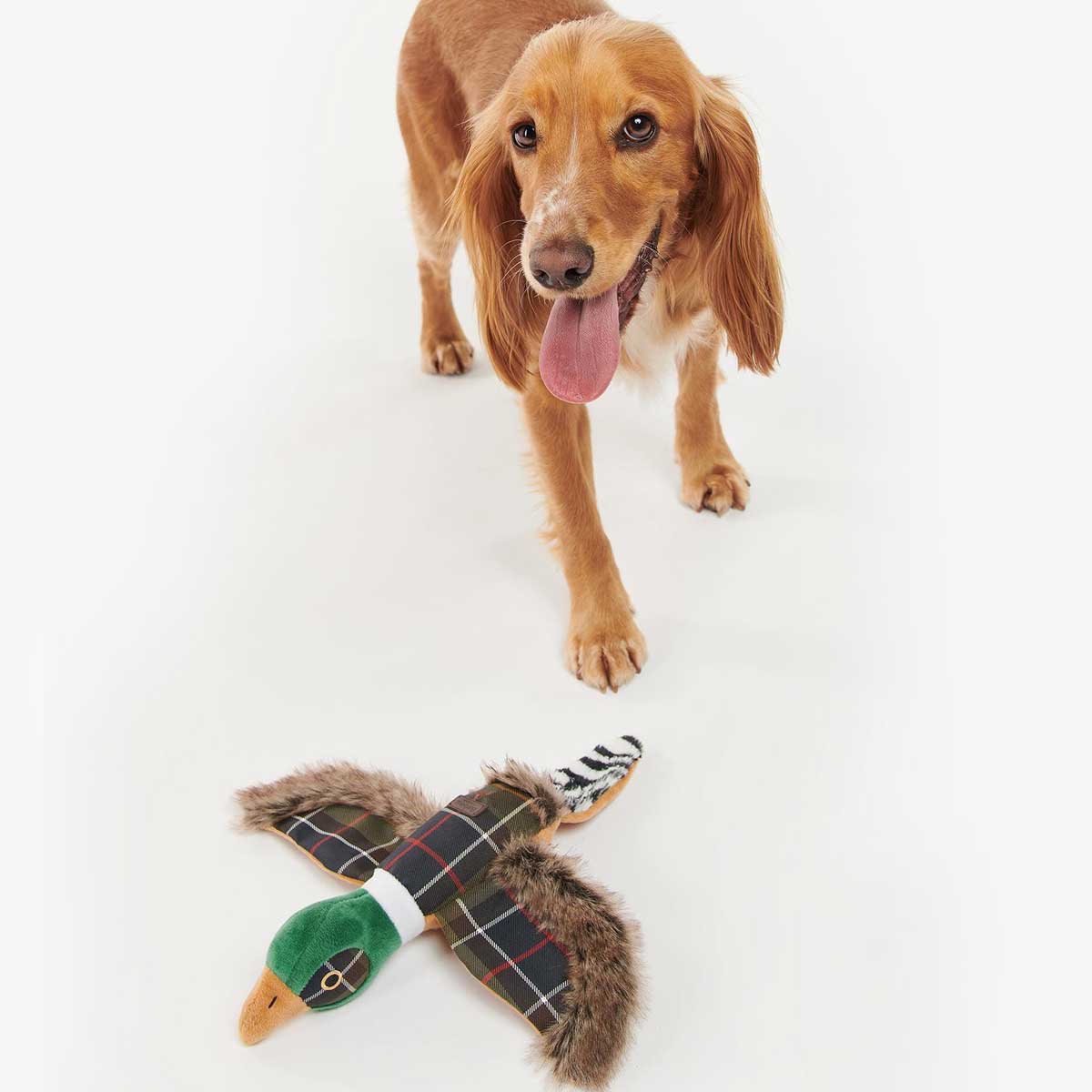 BARBOUR Pheasant Dog Toy - Image 5