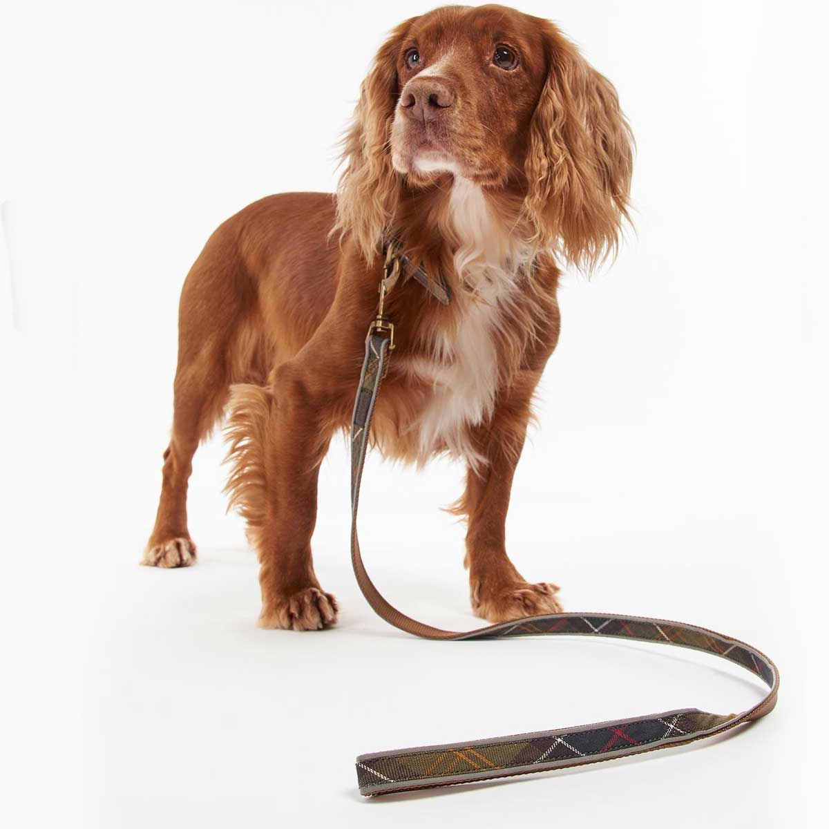 BARBOUR Reflective Dog Lead - Classic Tartan - Image 2