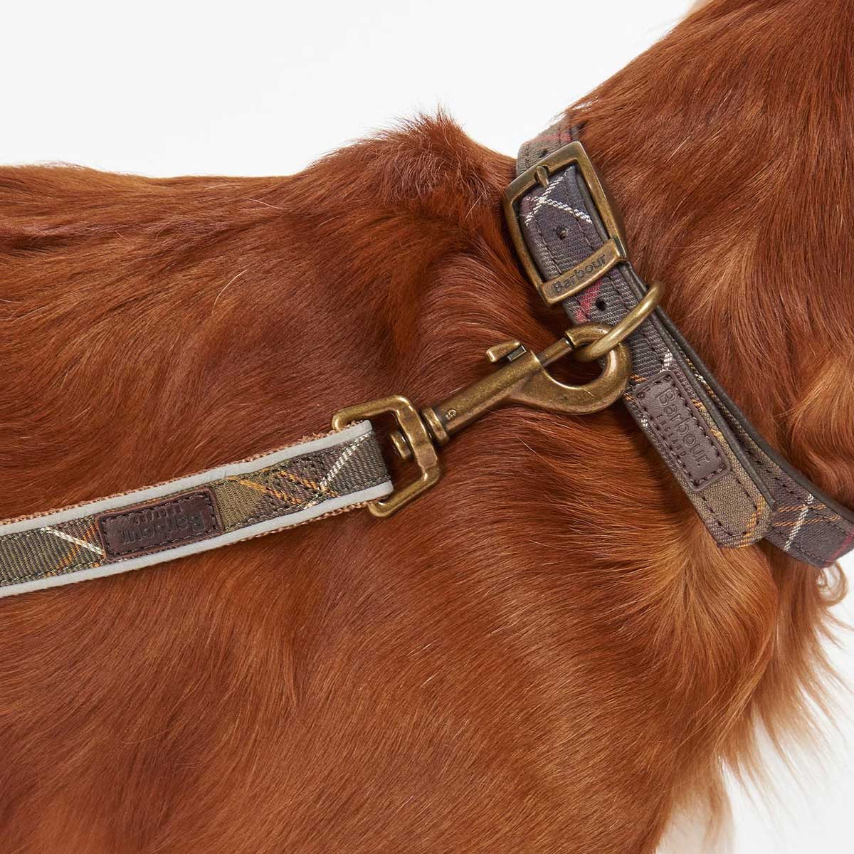 BARBOUR Reflective Dog Lead - Classic Tartan - Image 3