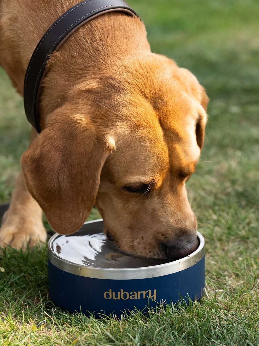 DUBARRY Archie Dog Bowl - Navy - Image 2