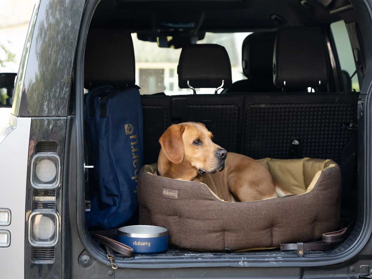 DUBARRY Buster Tweed Reversible Dog Bed - Mocha - Image 7