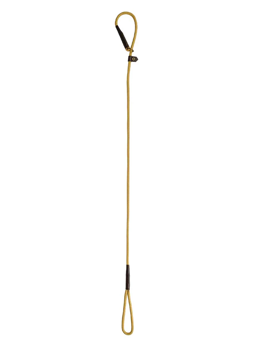 DUBARRY Marley Nylon Slip-Neck Dog Lead - Gold