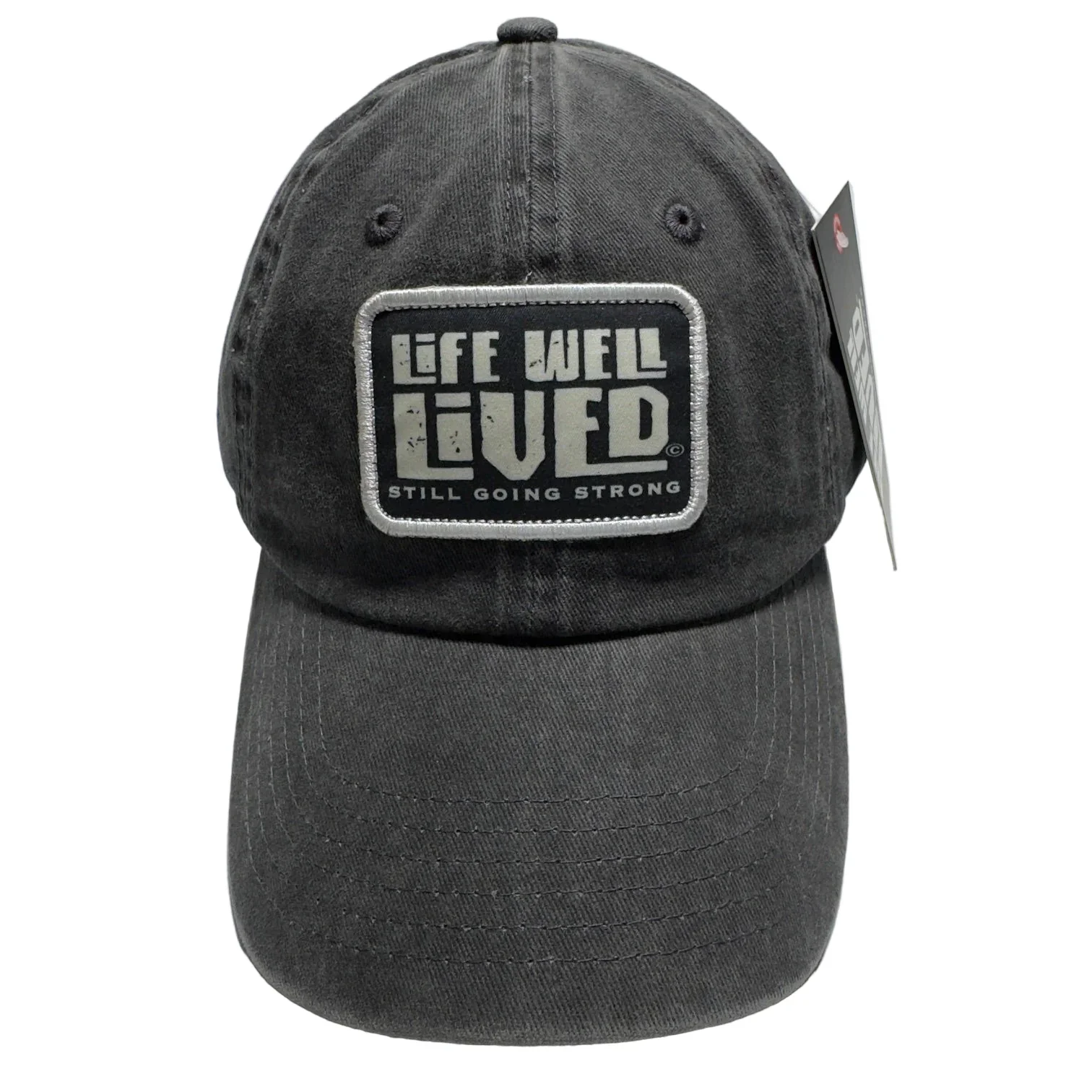 LIFE WELL LIVED LWL Classic Edition Cap - Charcoal - Image 2