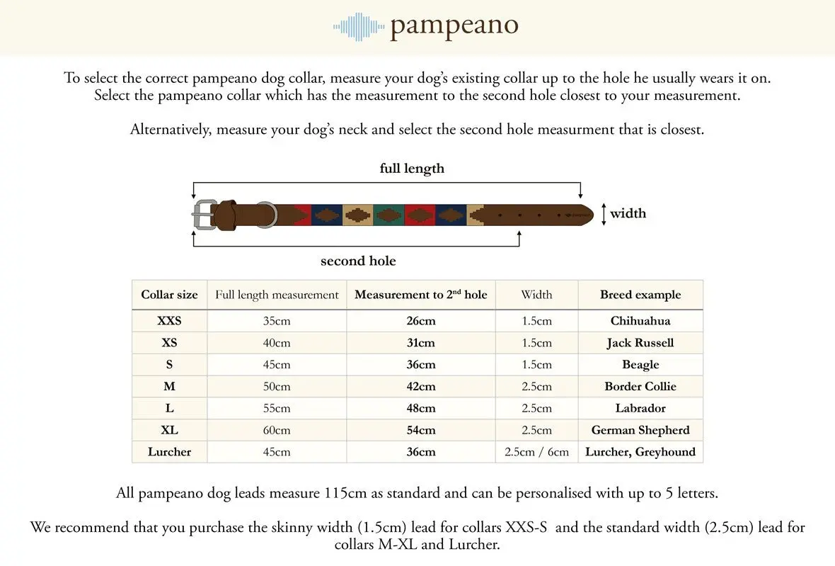 PAMPEANO Dog Collar - Hermoso - Image 4